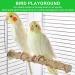 Vueinrg 5-Piece Natural Wood Bird Cage Accessories | Premium Belt Rods & Sticks for Canaries & Nymphic Birds - Buy Online on GoSupps.com
