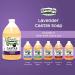 Vermont Castile Soap Lavender 64 Oz - Gentle Liquid Soap & Natural Body Wash - Organic Shampoo for Oily Hair - Aloe Castile Soap for Men & Women - Buy Online on GoSupps.com