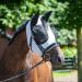 Buy Busse Fly Mask Twin Fit Flexi in Black Shetty Grey | Worldwide Shipping | Ideal for Horses - Buy Online on GoSupps.com