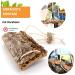 Exciting Cork Swing M - Multi-Functional Bird Swing Seat & Pick Stone for Happy Pets - Buy Online on GoSupps.com