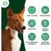 Dilecti Natural Deer Antlers For Dogs - Rich in Proteins & Minerals Perfect Dog Antler Chew for Dental Care Teething and Boredom Nutritious and Tasty Dog Treats - Spilt S (28-50g) pack of 3 Spilt / Half S (pack of 3) - Buy Online on GoSupps.com
