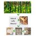 Natural Loofah Face Exfoliator Pads - 100% Handheld Scrubber for Bathing and Showering - Ideal for Spa Facial Cleansing - Men and Women - 2pcs - Buy Online on GoSupps.com