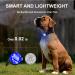 2 Pack LED Dog Harness Lights - Fluorescent Silicone Bands with USB-C - IP65 Waterproof - 3 Modes Flashing Light (Blue) - Buy Online on GoSupps.com