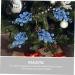 SilteD 20pcs Fake Berry Stem cutting branch Tree Branches For Decoration christmas tree decorations berry branch decorate artificial berry Foam wreath christmas DIY berries Blue 19X5X5CM - Buy Online on GoSupps.com