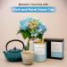 Th vert fruit et floral de CHILL TEA Tokyo - Th vert en feuilles 100 % japonais au cynorhodon - Saveur l g rement fruit e (100g) - Buy Online on GoSupps.com