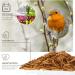 Buy Wild Animal Love Noble Mealworms 5L | Dried Mealworms for Birds & Hedgehogs | Premium Insect Food for Garden Birds - Buy Online on GoSupps.com