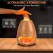 2-in-1 Aroma Diffuser & Salt Lamp - GUKKK 200ml Essential Oil Humidifier with Flames Effect & Adjustable Brightness for Aromatherapy - International Shipping - Buy Online on GoSupps.com