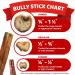 Downtown Pet Supply 6-inch Bully Sticks for Dogs Pack of 10 - Single Ingredient Nutrient-Rich and Odor Free Bully Sticks for Dogs - Rawhide Free Dog Chews Long Lasting and Non-Splintering - Buy Online on GoSupps.com