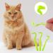TOYMIS 6pcs Tick Removal Tool Tick Remover for Dogs Cats and Humans Convenient Tick Remover Plastic with Tweezers Comb and Magnifying Glass - Buy Online on GoSupps.com