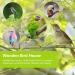 Budgies Nesting Box Transparent Design Bird Nest Nesting Box Wooden Parakeet Nesting Box Transparent Bird House for Cage Natural Wood Breeding Box for Parrots Lovebirds Budgies Finches - Buy Online on GoSupps.com