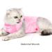 Lianzimau Cat Recovery Suit M Pink - Post Surgery Bodysuit for Cats - Anti Lick & Spay Recovery Clothing - Buy Online on GoSupps.com