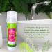 Soft & Dri Zen Cucumber Aluminum Free Deodorant 3 oz Smooth and Clear Stick pH Balancing Minerals 3 Pack Zen Cucumber 3 Ounce (Pack of 3) - Buy Online on GoSupps.com