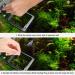 SunGrow Feeding Ring for Goldfish & Small Fish - Floating Food Square | Perfect for Flakes | 1 Piece - Buy Online on GoSupps.com