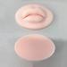 2pcs 3D Tattoo Practice Lips Module with Teeth - Soft Silicone Realistic Fake Skin for Semi Permanent Make Up Supplies - Buy Online on GoSupps.com