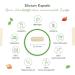 Buy Premium Organic Silicon 240 Capsules - 500mg Daily from Bamboo Extract - High-Dosed Vegan Supplement - Laboratory Tested - Buy Online on GoSupps.com