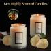 Buy Highly Scented Natural Soy Wax Candles - Long Lasting Aromatic Home Fragrance Gifts for Men & Women - Snow Pear & Cypress Wood - Buy Online on GoSupps.com