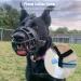 Buy Barkless Dog Muzzle - Soft Silicone Bite & Bark Control Drinking & Panting Enabled Size 3 (Snout 9 -10) Black - International Shipping - Buy Online on GoSupps.com