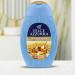 Felce Azzurra Gold And Spices Silkening Essence Shower Gel - Fruity and Aromatic Blend - Dermatologically Tested - 13.5 Oz - Buy Online on GoSupps.com