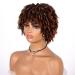 Unonet Kinky Curly Afro Wig with Bangs for Black Women - Short Synthetic Hair Wigs - Natural Curly Cosplay Wigs (1BT30) - Buy Online on GoSupps.com