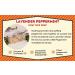 Lavender Peppermint Goat Milk Soap - Handmade All-Natural Moisturizing Bar for All Skin Types - Box of 2 | Goat Milk Stuff - Buy Online on GoSupps.com