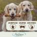 Petlove Olive Wood Chewing Bones for Dogs | Dental Care Toy for Puppies & Small Dogs | 2-Pack S (60-99g) - Buy Online on GoSupps.com