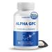 High Potency Alpha GPC with Vitamin B12 L-Theanine Phosphatidylserine Magnesium Bacopa Monnieri Ginkgo Biloba Supports Brain Health Energy & Focus Made in The USA 150 count (pack of 1)