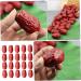 HOMSFOU 20Pcs Simulation jujube model pretend play fruit fruities Simulation Red Jujube Decors Fake Red Jujube artificial fruit Model fruit toys Photography Fruit Ornaments pvc nut food - Buy Online on GoSupps.com