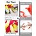 Decyam 10-Pack Puppy Cotton Rope Dog Toys - Interactive Squeaky Toys for Small Dogs | Boredom Busters & Dental Health - Buy Online on GoSupps.com