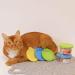 Comtim Silicone Can Lids - 4 Pack Pet Food Covers for Dogs and Cats - Universal Fit for Standard Canned Food - Buy Online on GoSupps.com