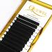 QUEWEL Easy Fan Russian Lashes 2D-20D Volume 0.03D Curl 12mm - Self Fanning Eyelash Extensions - Buy Online on GoSupps.com