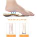 Datacaring 3/4 Length Arch Support Insoles for Men and Women - Plantar Fasciitis Support Orthotic Inserts (Men's 8-12) - Buy Online on GoSupps.com