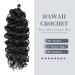 Hawaii Ocean Wave Crochet Hair - 50.8 cm 6 Packs Natural Black | Ocean Wave Braids Synthetic Hair Extensions (20 Inch 1b#) - Buy Online on GoSupps.com