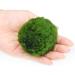 6Pcs Moss Balls Natural Green Moss Balls Live Aquarium Plants 1.2-1.6 inch Artificial Seaweed Ball Plants Water Grass Shrimp Water Grass Balls for Fish Tank Terrarium - Buy Online on GoSupps.com