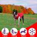 Red XL Dog Coat & Sweater for Small Dogs | Chihuahua Clothing | Winter Apparel for Indoor & Outdoor Use - Buy Online on GoSupps.com