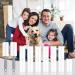 Omtofo 15 Roll Lint Roller - Extra Sticky 900 Leaves for Pet Hair Clothing & Sofa - 10cm Sturdy Handles - Buy Online on GoSupps.com