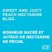 Sparkling Ice +Caffeine Blue Raspberry Sparkling Water. (Pack of 12) & Peach Nectarine Flavoured Sparkling Water with Zero Sugar and Zero Calories 503 ml (Pack of 12) - Buy Online on GoSupps.com