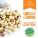 Oregon Farm Fresh Natural Hazelnuts - Lightly Salted & Dry Roasted (16oz) | Keto Snacks with Sweet Buttery Flavor - Healthy Oregon Hazelnuts for Snacking - Buy Online on GoSupps.com