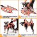Kkiimatt 9 in 1 Pet Grooming Hammock Harness with Nail Clippers/Trimmer, File, Comb - XS - Buy Online on GoSupps.com