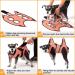 Kkiimatt 2023 Dog Grooming Hammock Sling for Small Dogs - Nail Clipping & Trimming Restraint Bag - 24 LB Max Weight - Orange - Buy Online on GoSupps.com