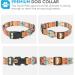 Heele Bohemian Orange Dog Collar | Adjustable Collars for Small & Medium Dogs | Comfortable & Robust | Perfect for Puppies - Length 25-38cm - Buy Online on GoSupps.com