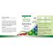 Fairvital Quercetin and Vitamin C Vegan Capsules - High Dosage Antioxidant Supplement - 120 Count - Buy Online on GoSupps.com