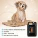 GROOM Professional Argan Oil Conditioner for Dogs - Repair & Care for Damaged Hair - Hydrating Solution for Dry Itchy Skin - 4L - Buy Online on GoSupps.com