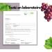 EXVital OPC Extrait de p pins de raisin 240 g lules hautement dos avec 500 mg par g lule issu de raisins fran ais test en laboratoire et vegan - Buy Online on GoSupps.com