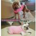Cool Combed Cotton Dog Shirt for Medium-Sized Dogs | Sychien Striped Pink & Gray T-Shirt for French Bulldogs - Buy Online on GoSupps.com