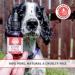 Purest Hip & Joint Supplement for Dogs - Natural Liquid Care with Turmeric for Mobility & Flexibility - Buy Online on GoSupps.com