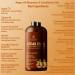 Argan Oil Shampoo & Conditioner Set - Hydrating Sulfate Free Hair Care for All Hair Types - 16 fl oz Each - Buy Online on GoSupps.com