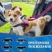 Slowton Double Dog Safety Belt - Dual-Pet Car Head Support for Medium Dogs | Elastic Connector for Safe Travel - Buy Online on GoSupps.com