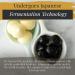PreAureum Black Garlic: Fermented & Peeled Single Clove, 125g - Immune Support & Snacks - Buy Online on GoSupps.com