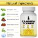New Candida leanse - ut & olon Support Include Oregano Leaf Wormwood Black Walnut Caprylic Acid 60 Capsules (2) - Buy Online on GoSupps.com