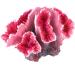 UEETEK Pink Corals for Aquarium Decoration | Vibrant Underwater Elegance - Shop Internationally! - Buy Online on GoSupps.com